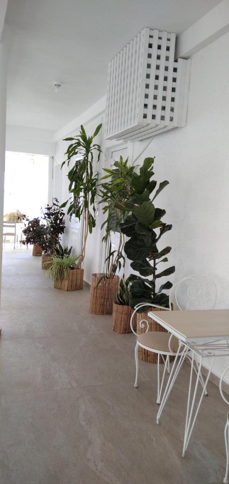 Vista Mare Apartment Koutsouras Luaran gambar